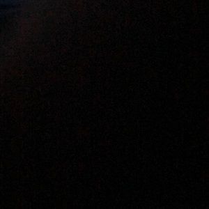 Meet your Posher, Troy